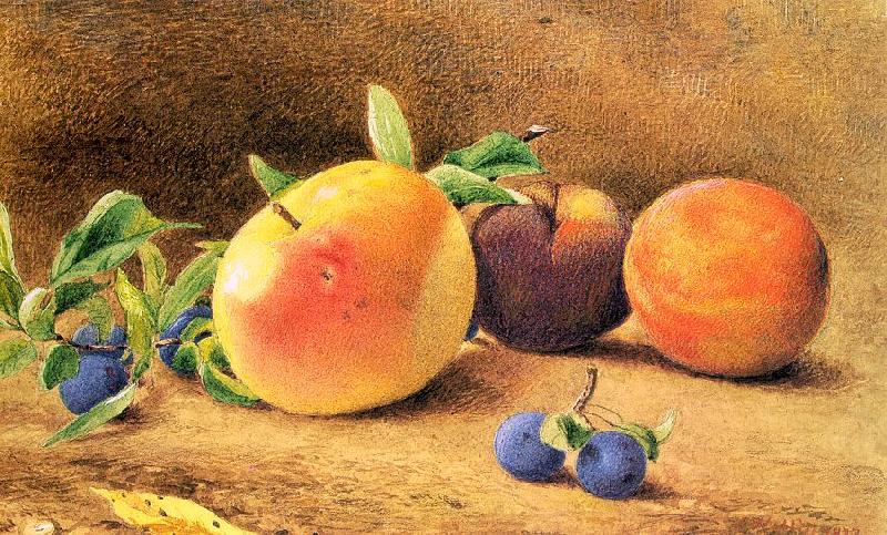 Study of Fruit, Hill, John William